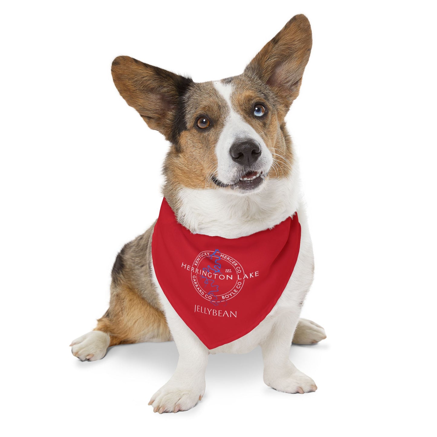 The "Classic" Personalized Custom Herrington Lake and County Pet Bandana Collar