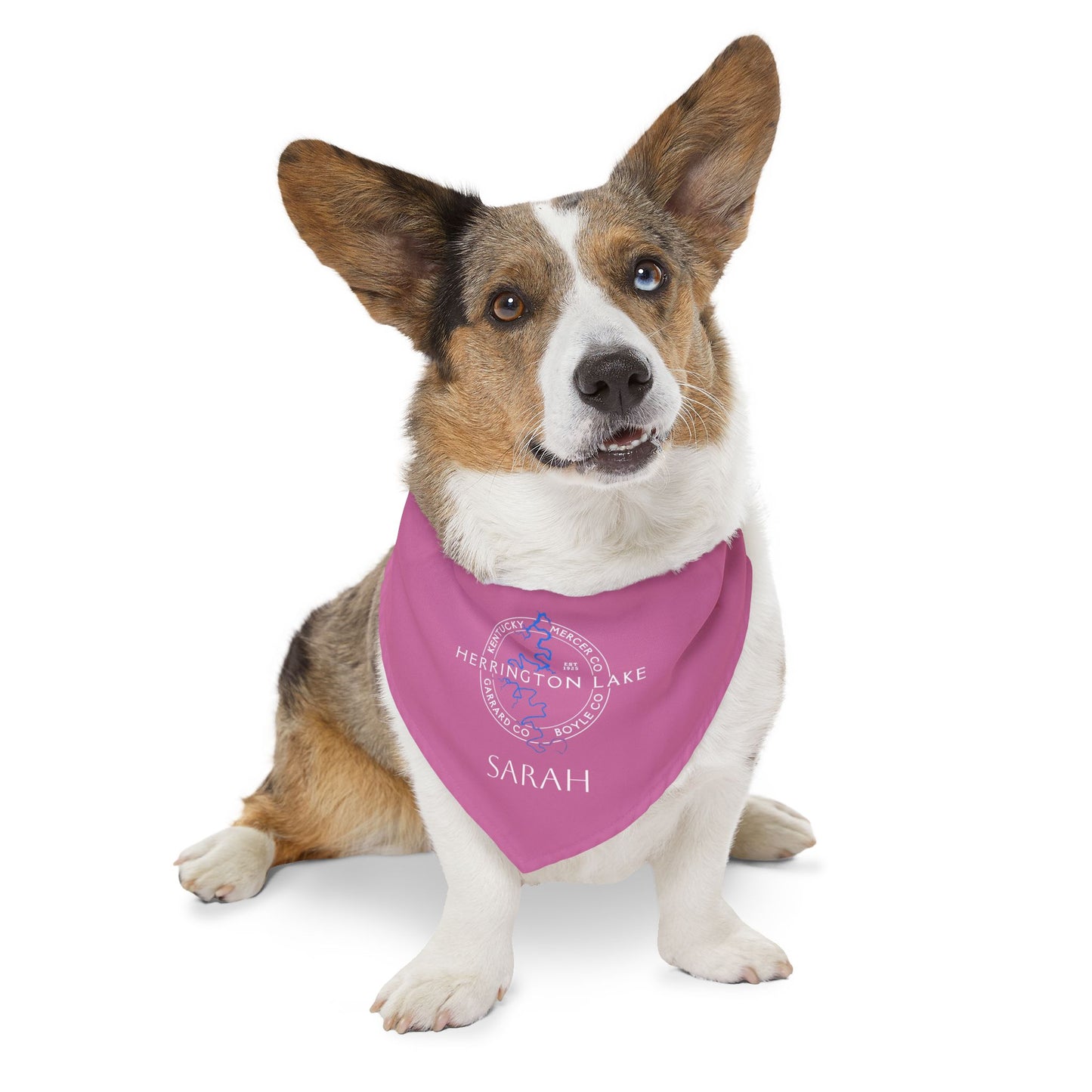 The "Classic" Personalized Custom Herrington Lake and County Pet Bandana Collar