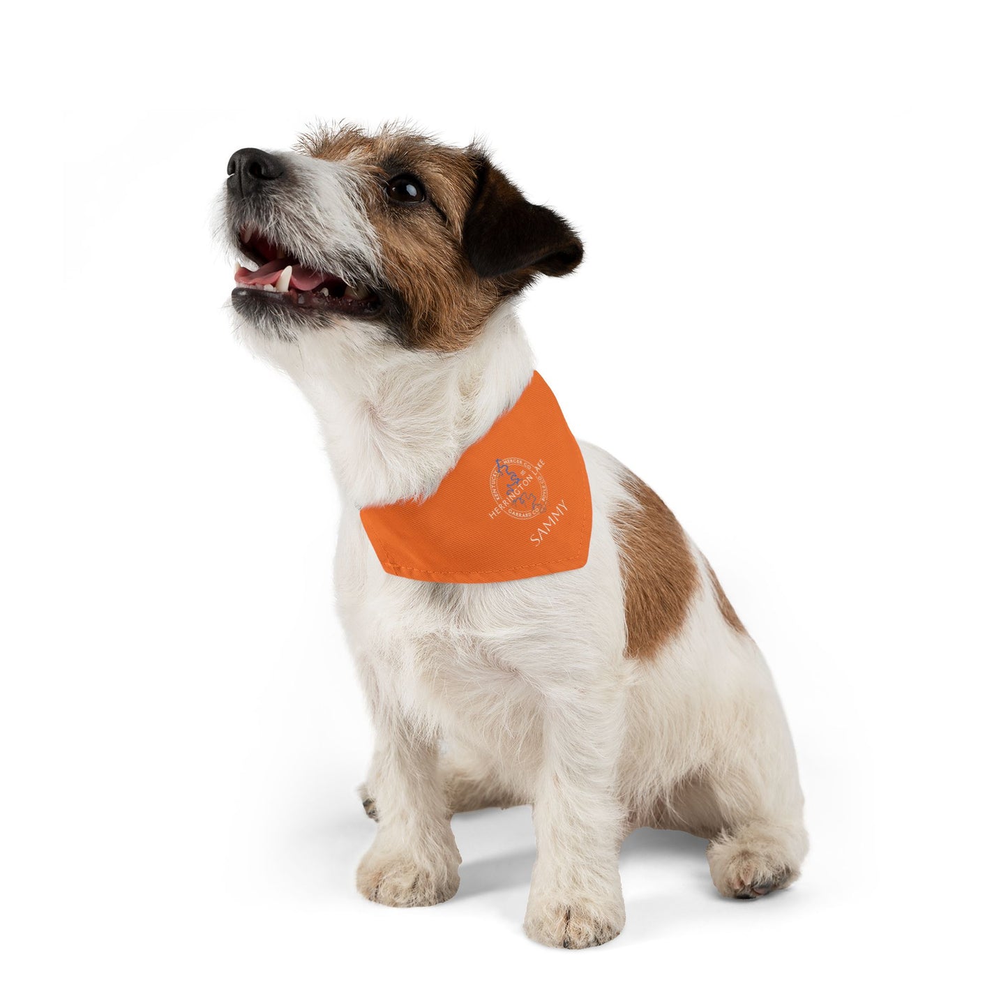 The "Classic" Personalized Custom Herrington Lake and County Pet Bandana Collar